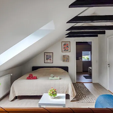 Large Cozy, Good Location, Open Terrace *