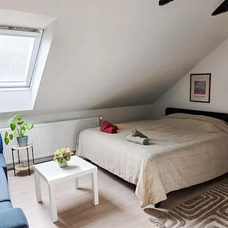 Large Cozy, Good Location, Open Terrace *